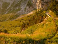Regina-F-Rau_2013-08-15_Frohkostgipfel  (008).JPG